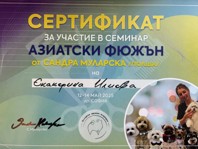 Ekaterina Ilieva’s certificate from the “Asian Fusion” seminar