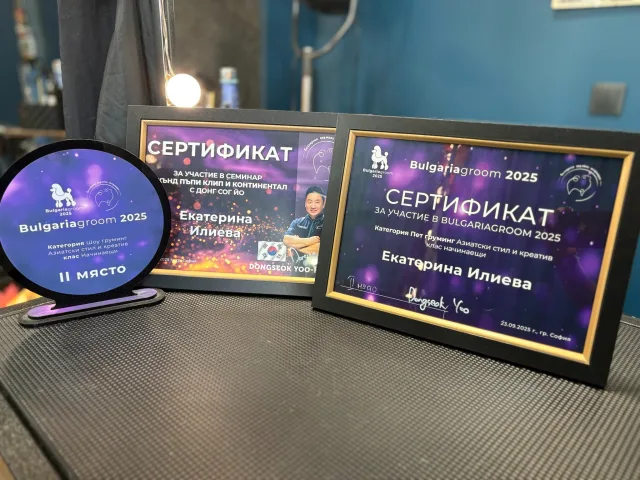 Ekaterina Ilieva’s certificates and awards from BulgariaGroom 2025