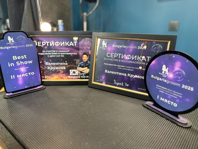 Valentina Krumova’s certificates and awards from BulgariaGroom 2025