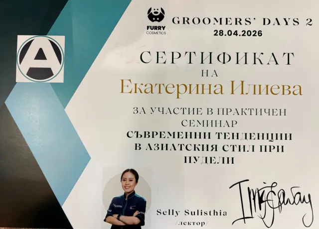 Ekaterina Ilieva’s certificate from the practical seminar “Contemporary trends in the Asian style for poodles”