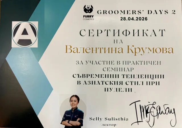 Valentina Krumova’s certificate from the practical seminar “Contemporary trends in the Asian style for poodles”